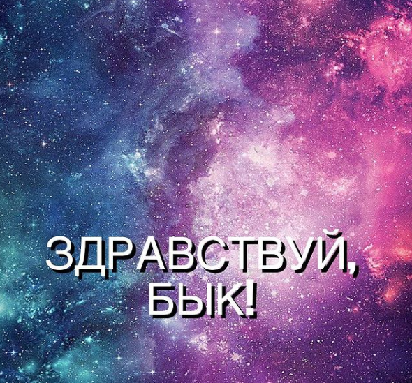 Фото: скриншот