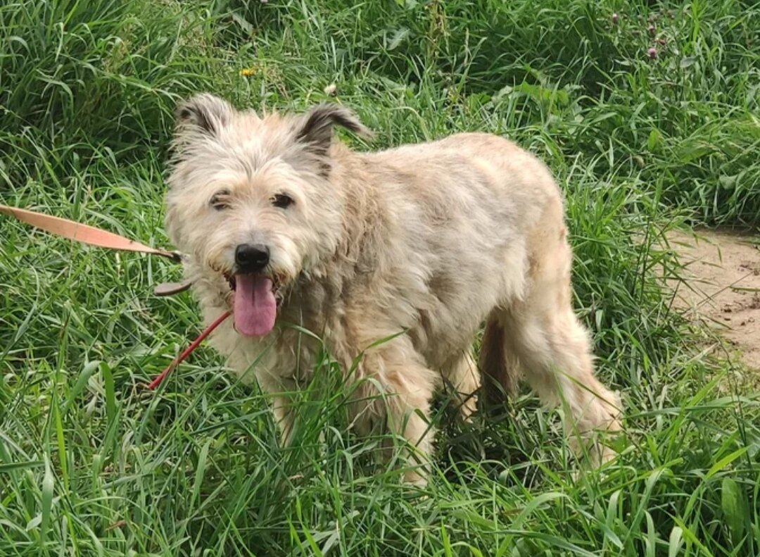 Мы  тогда  буквально вырвали Шеллу   из лап смерти .    