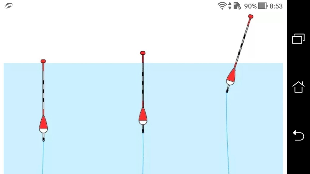 фото - Монтаж снасти на подлещика - поплавочная удочка на леща