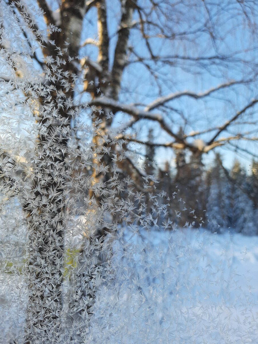 Такое красивое окно было, когда мы проснулись