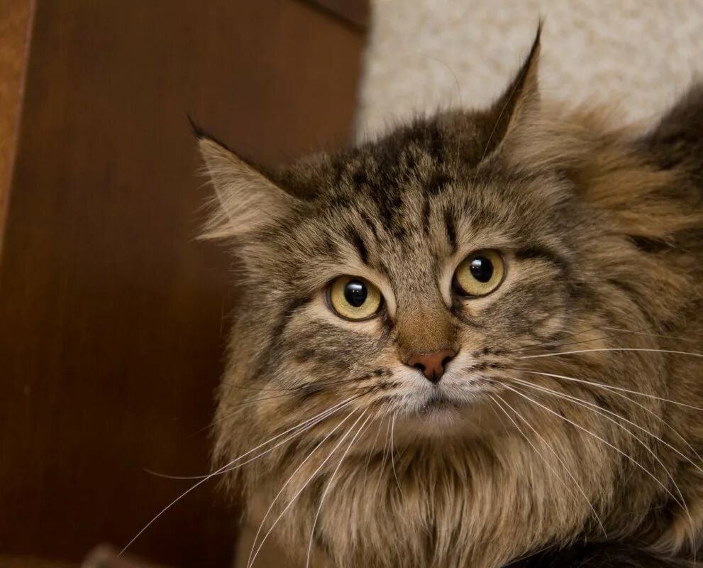 Фото из открытых источников взято 