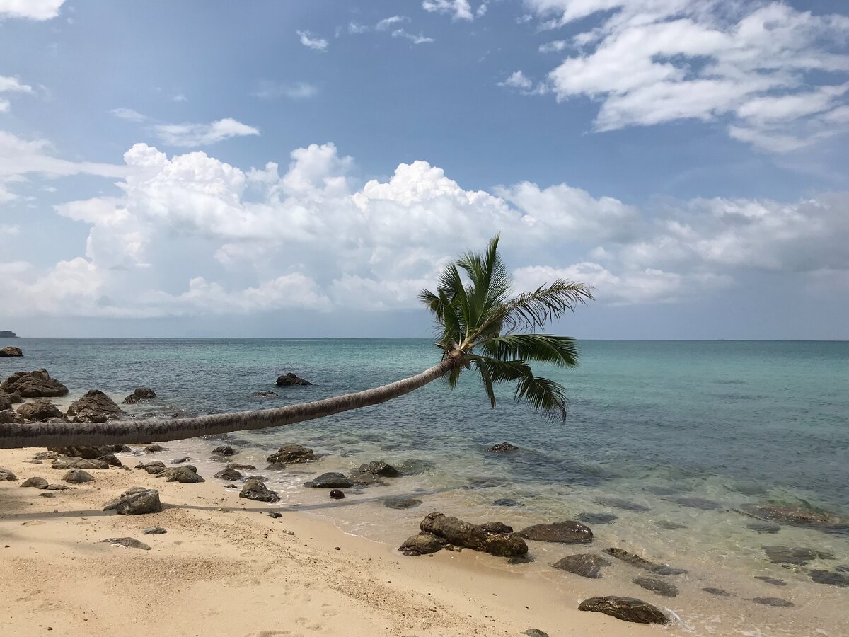 на таких пляжах собираем ракушки