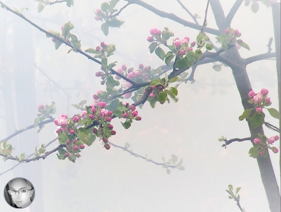 Задымление