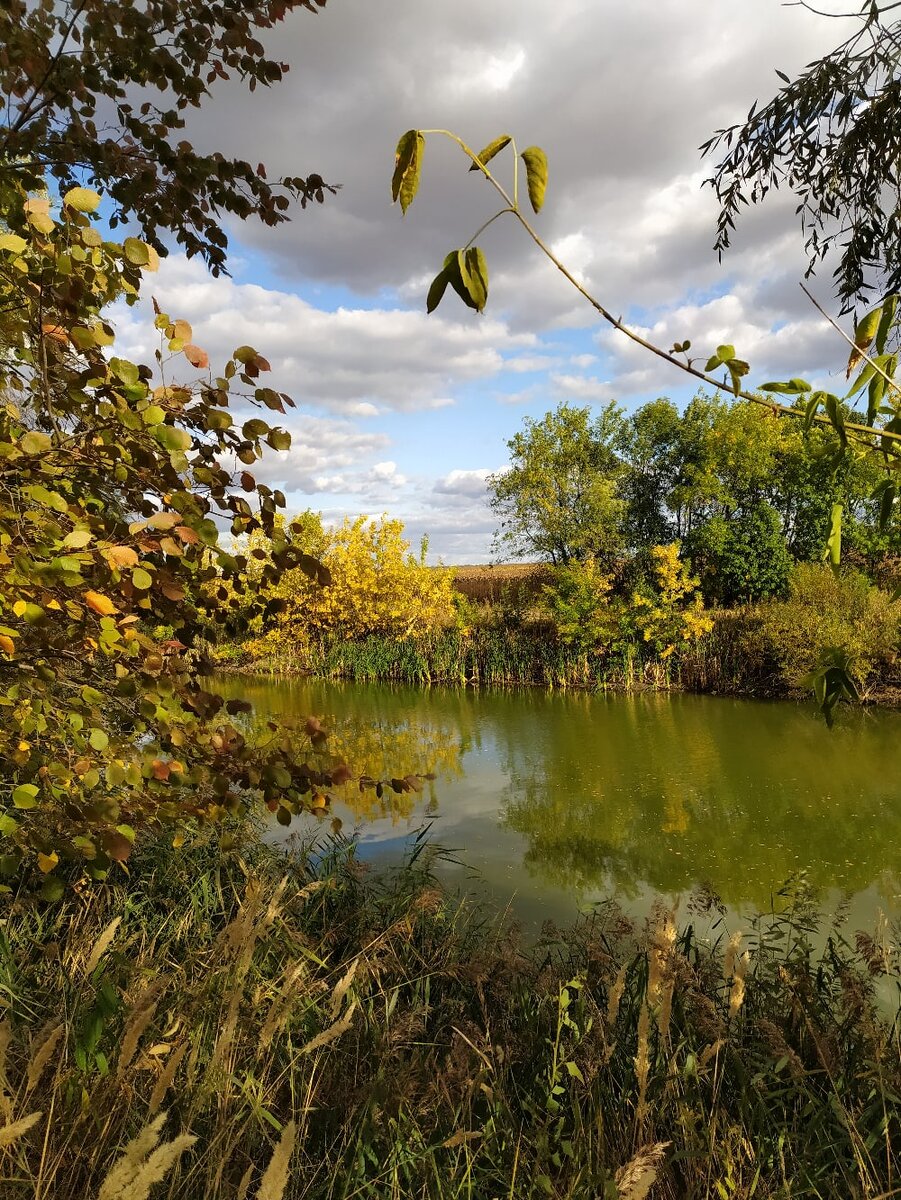 Фото из семейного архива