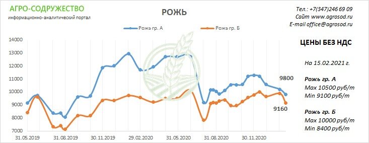 цена на рожь группа А,Б  (без НДС)