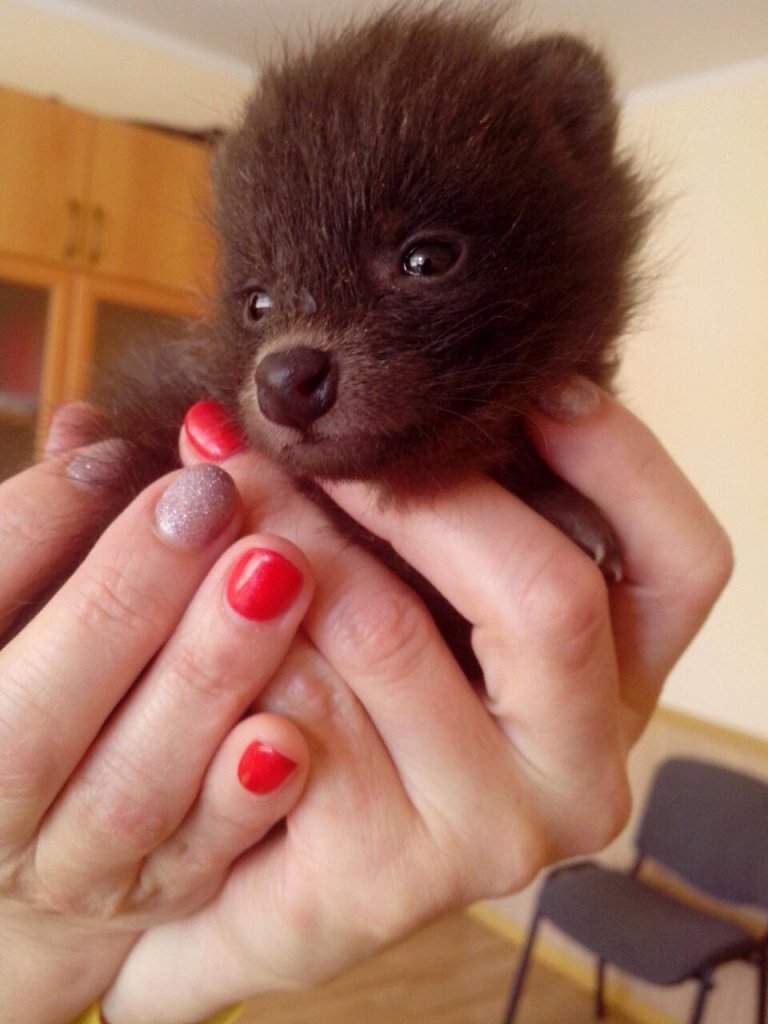 Роксана 3 недели.