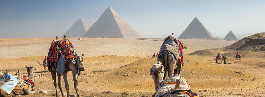 Пирамиды Гизы и верблюды для туристов