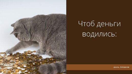 Деньги дани. Деньги дани