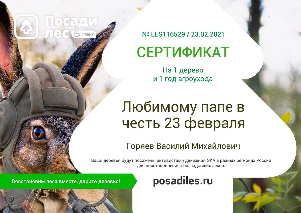 Я купила сертификат за 5 минут =) Его прислали мне на почту.