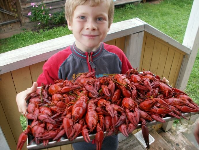 фото автора - поймано автором (все фото ниже также авторские и составляют опыт его выживания)