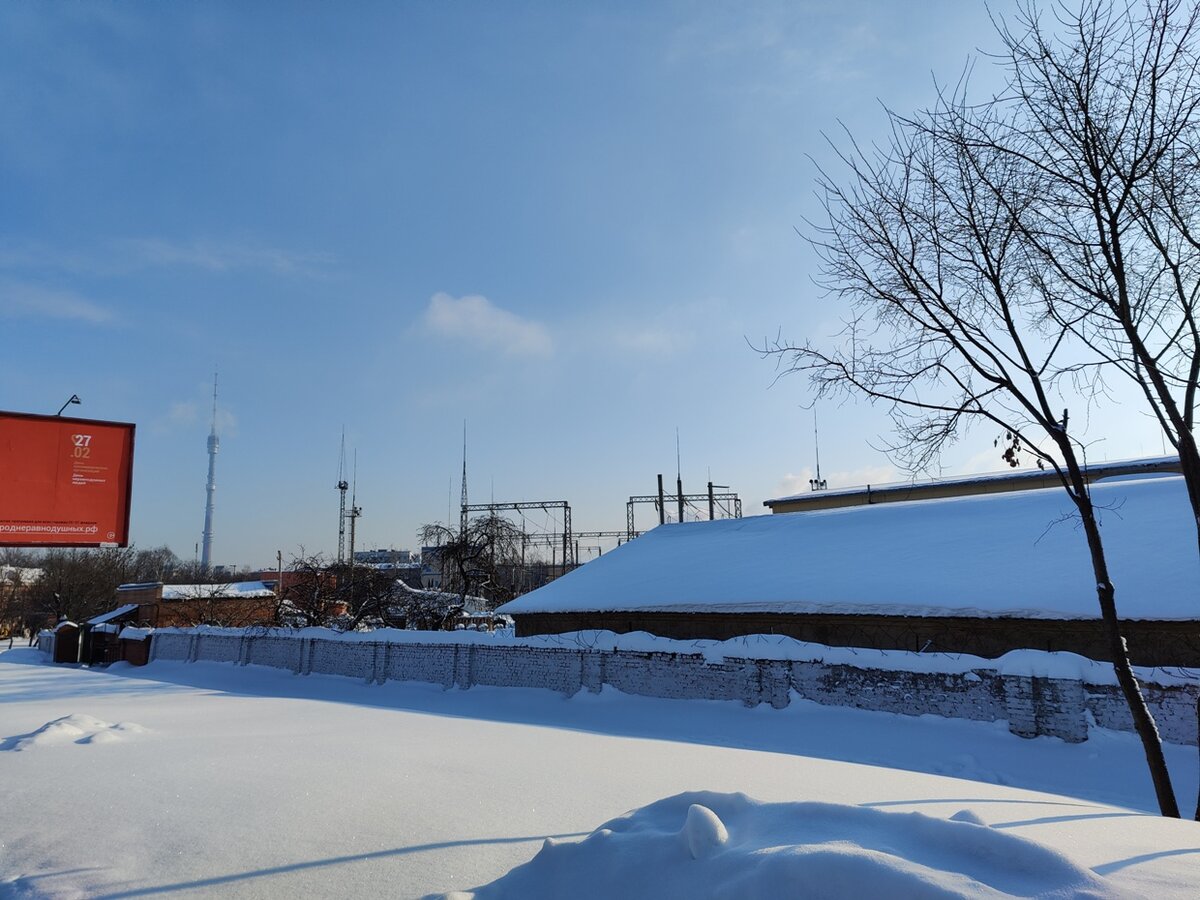 -19