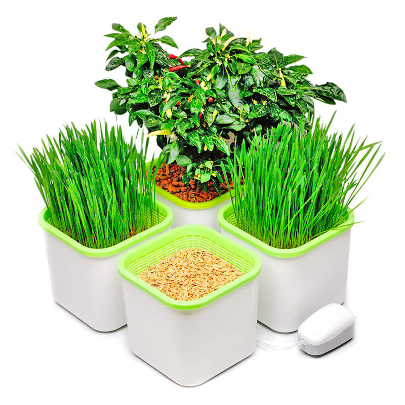 Кто портвейн употребляет - того зеленью кормить!