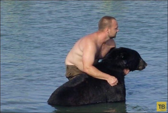 5. Люди на берегу были шокированы и хотели остановить Адама.
