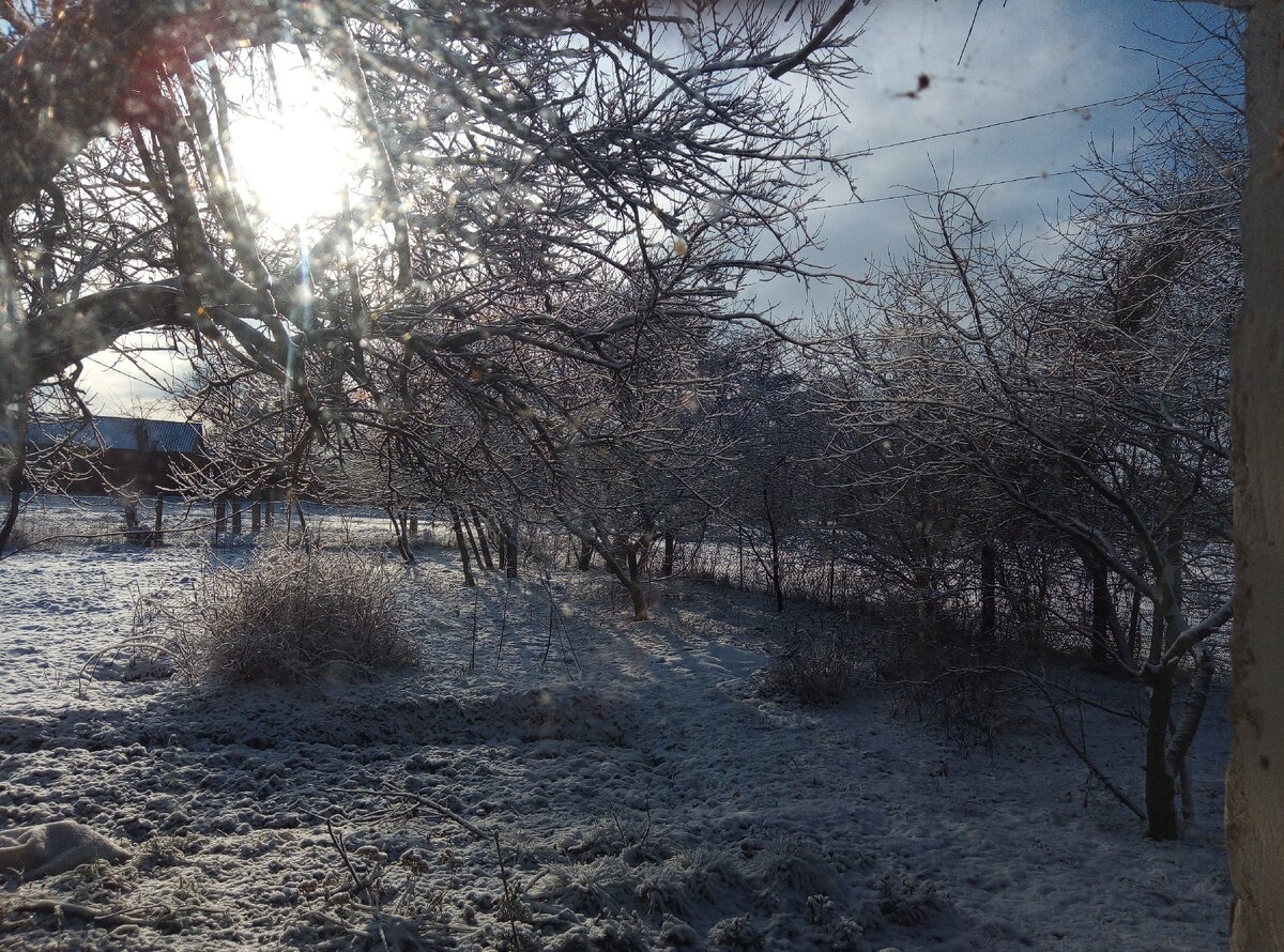 вид из нашего окна на зимний огород