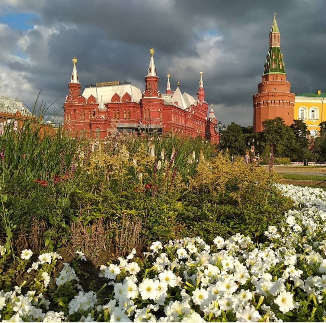 Стены древнего кремля текст. Утро красит нежным светом стены древнего Кремля. Кремль утром. Стены древнего Кремля. Кремль цветы.
