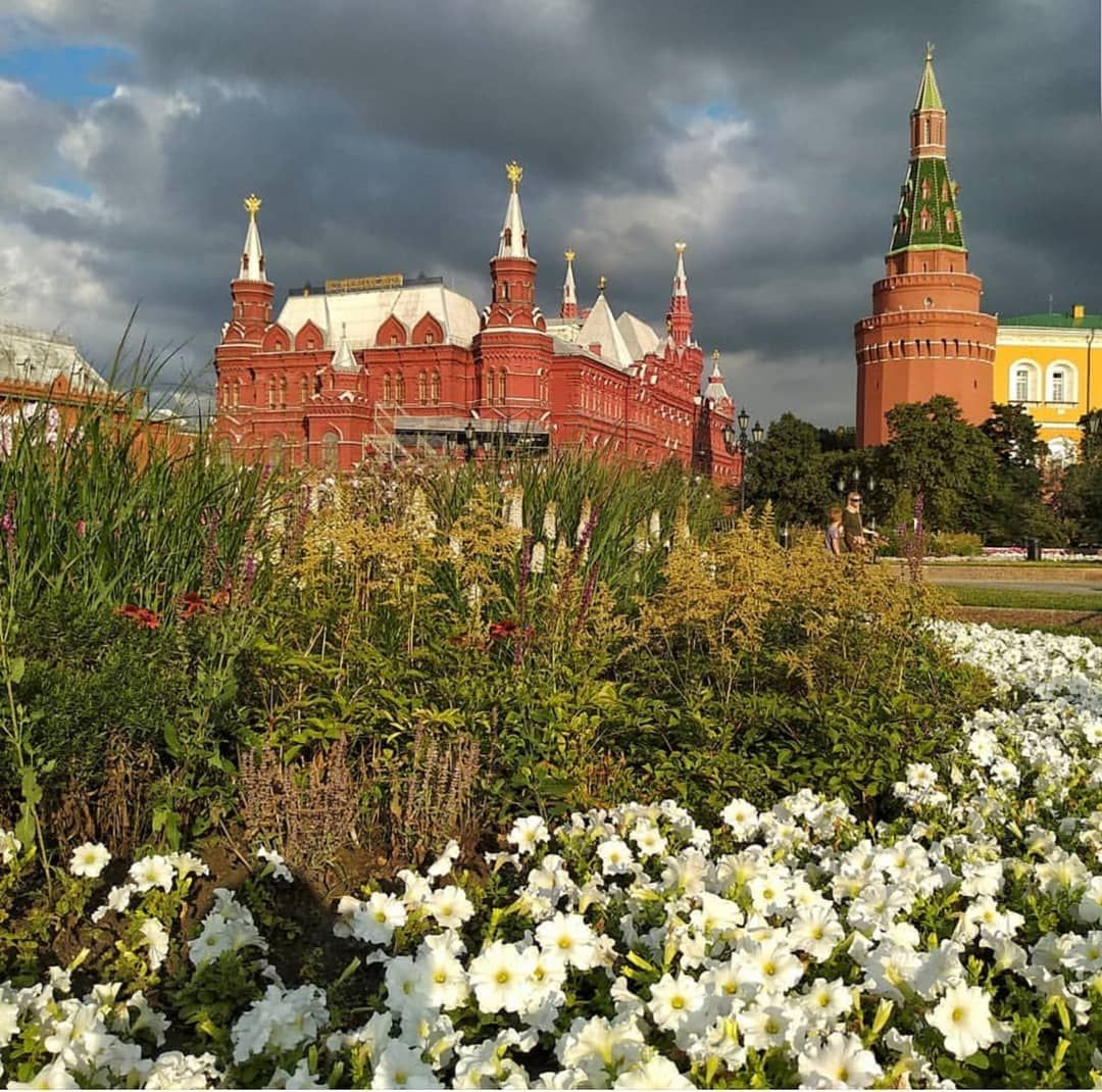 Песня утро москва. Утро красит нежным светом стены древнего Кремля. Кремль утром. Стены древнего Кремля. Кремль цветы.