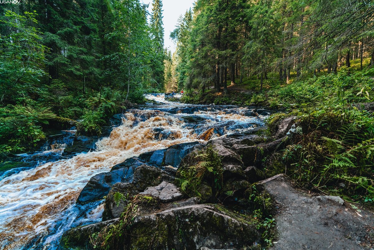 Долина водопадов карелия лахденпохский район фото