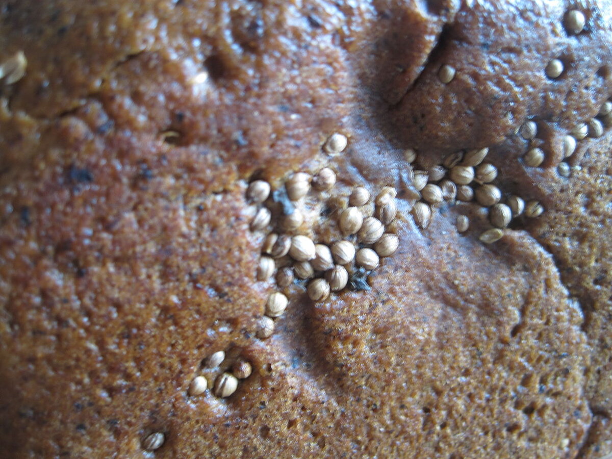 "Фирменная" корочка Бородинского. https://commons.m.wikimedia.org/wiki/Category:Borodinsky_bread