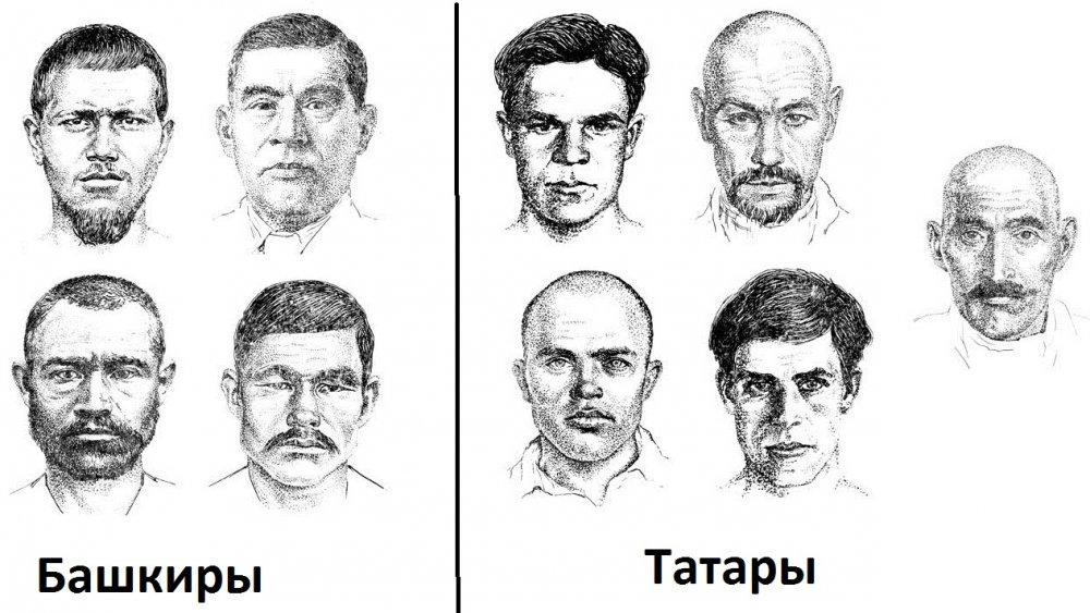 Определить национальность по внешности. Башкиры и татары внешность. Различия татар и башкир внешние. Антропологические типы башкир. Внешности Башкиров и Татаров.