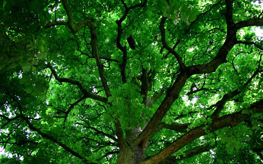 Источник: интернет