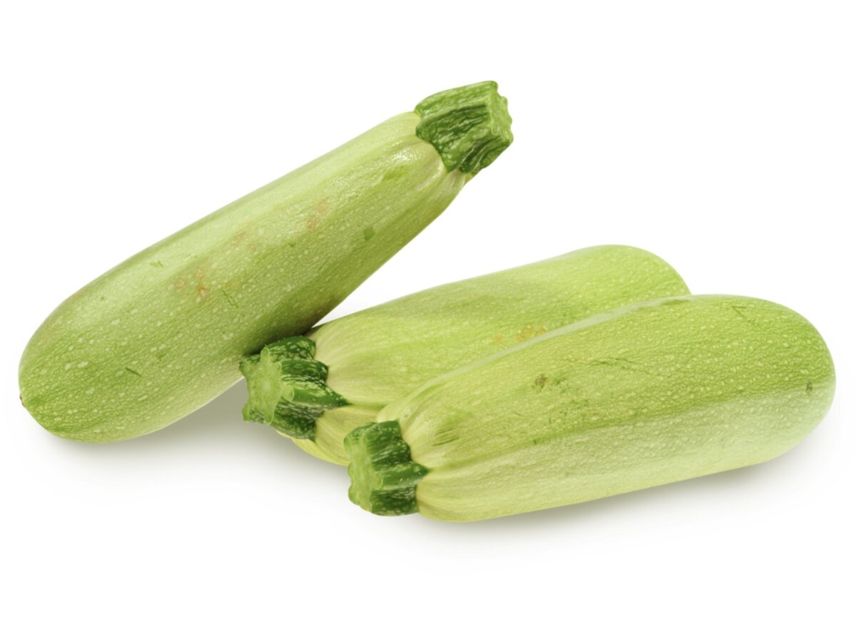 Фото взято из приложения Ленточка 