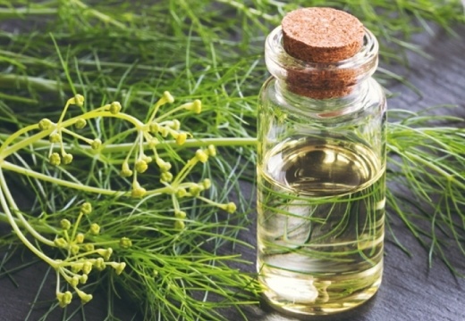 Фото из свободного источника