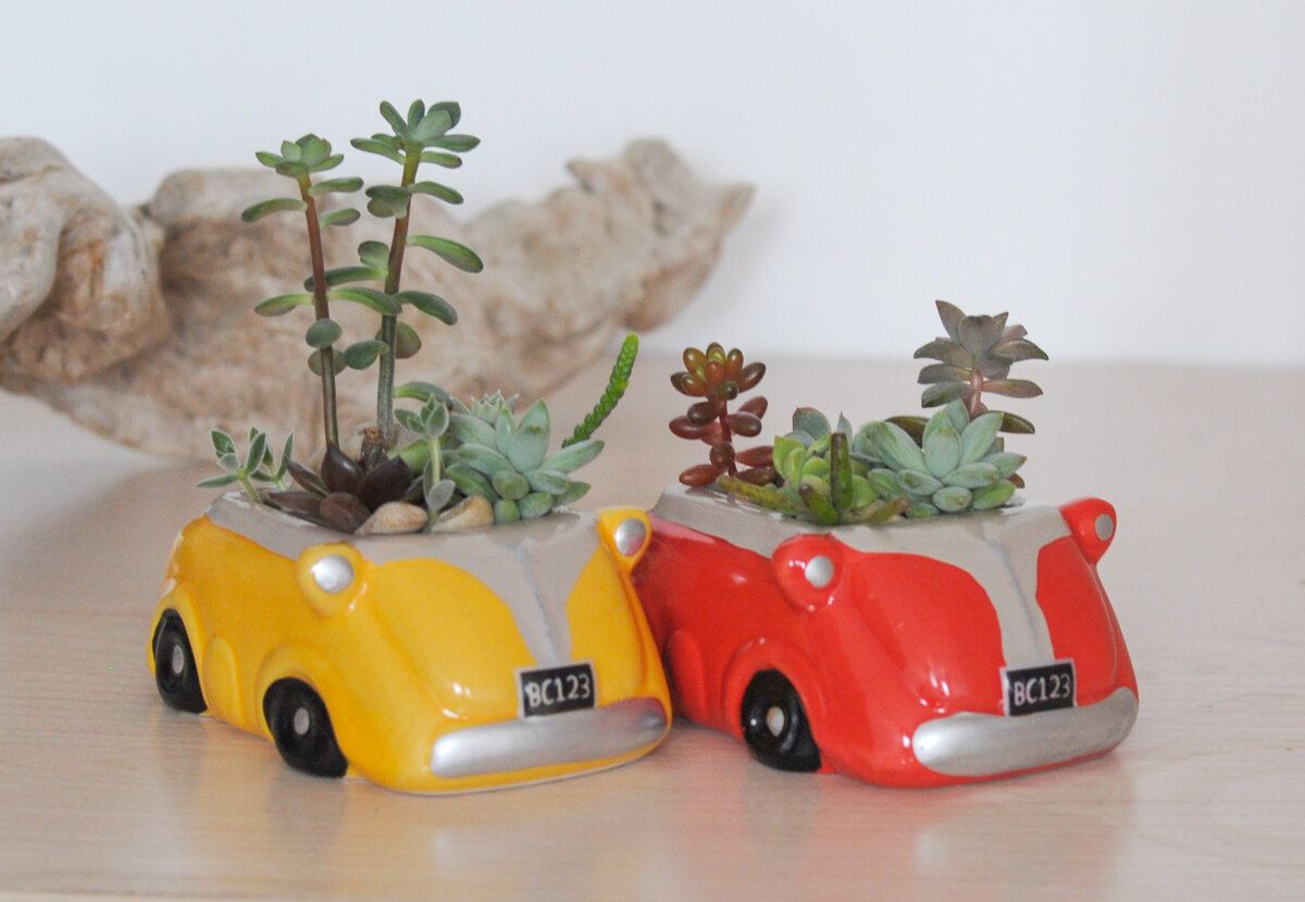 Такие машинки делала к одной из выставок суккулентов