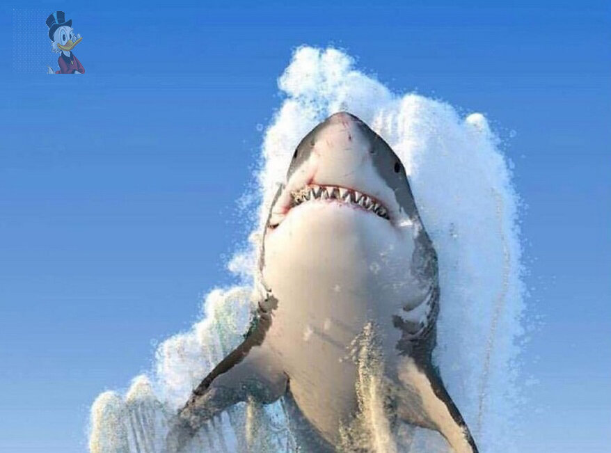 Дополнительный стабильный источник доходов в семью, отнимающий до 30 минут в день. Вы сами определяете свой график. https://www.yaplakal.com/