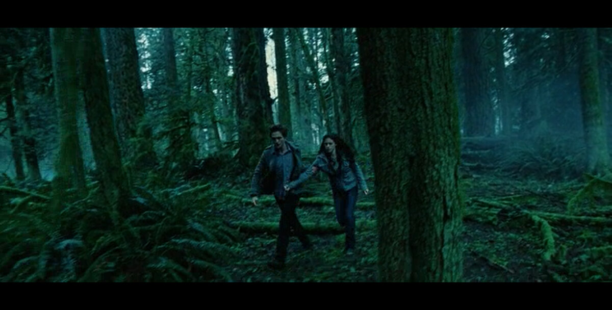 Кадр из фильма "Сумерки"