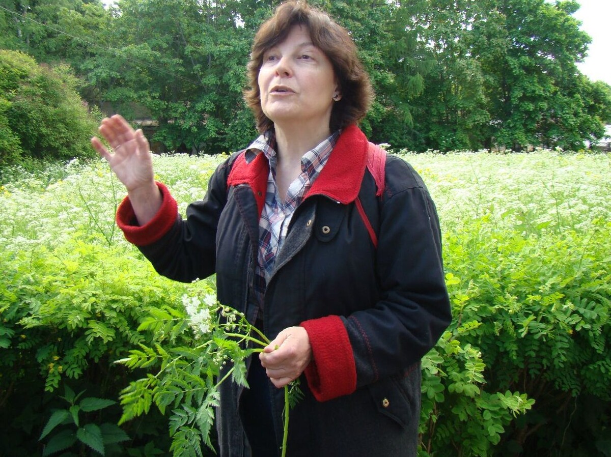 Саженцы - как решить проблему с выбором и не попасть на продавца-обманщика