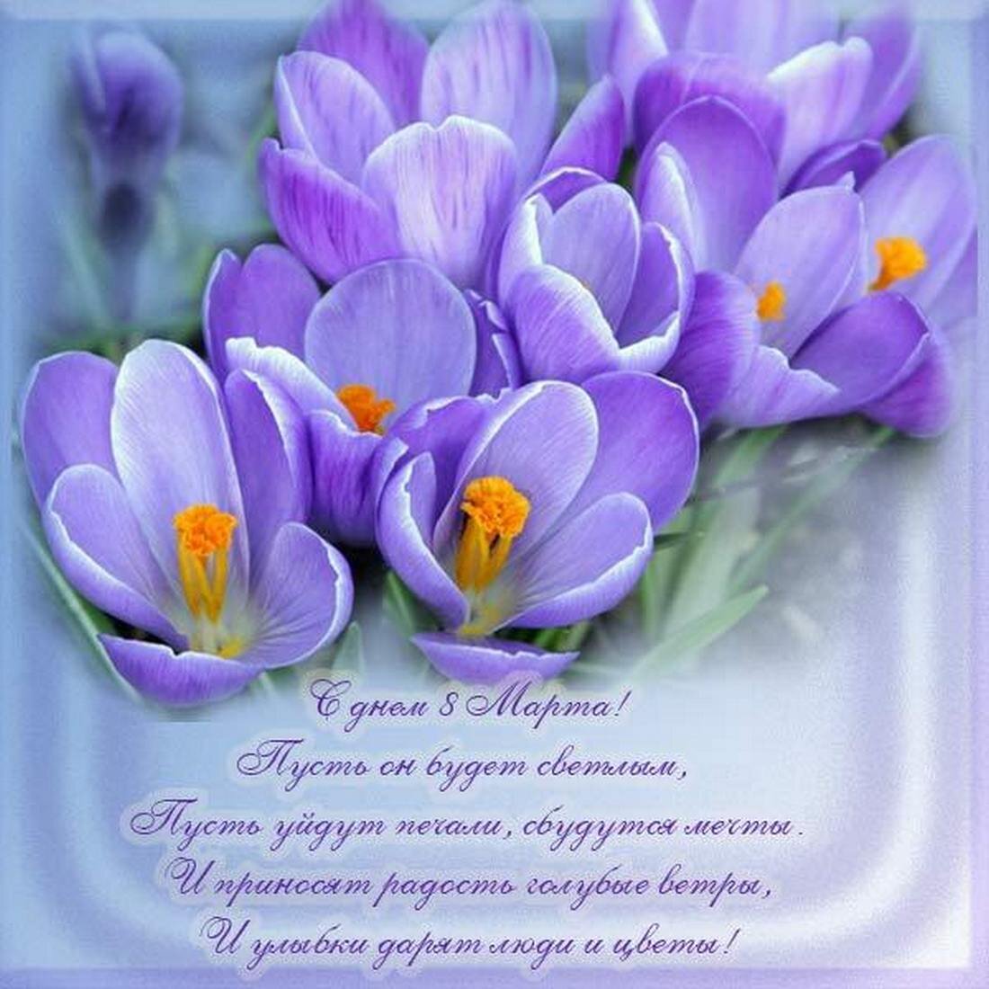 http://qulady.ru/images/qulady/2017/01/1-24.jpg