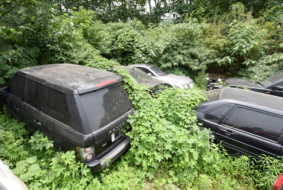 Брошенные автомобили не всегда битые.