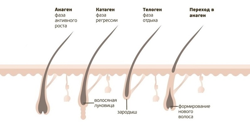Как сделать ресницы длиннее и гуще? / Изображение из открытого источника