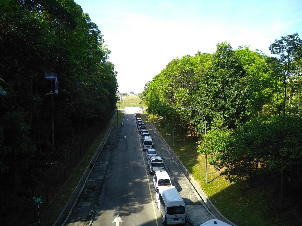 Сразу же офигел от зелени