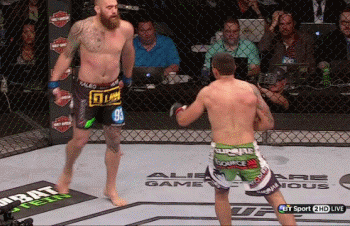 Фабрисио Вердум vs Трэвис Браун