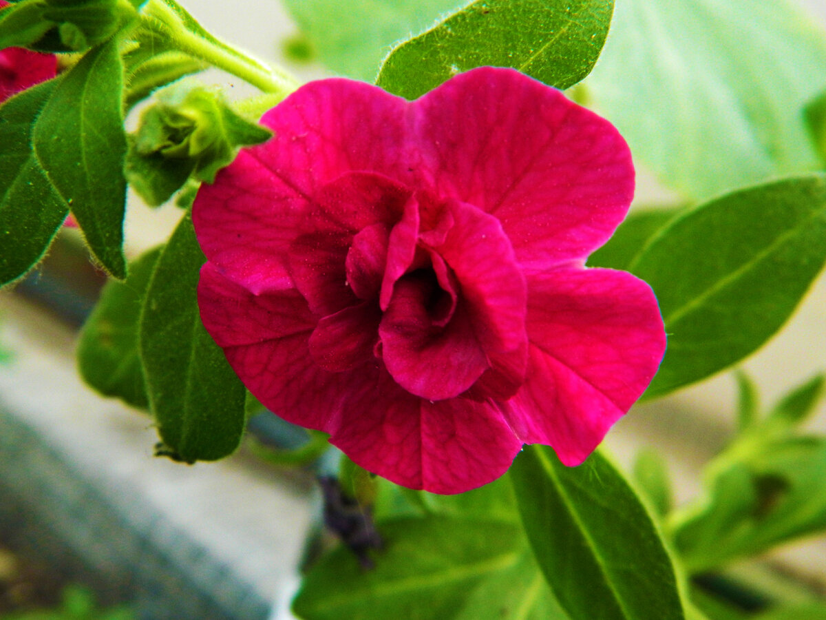 фото автора канала