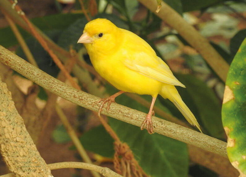 Фото: fotokto.ru 