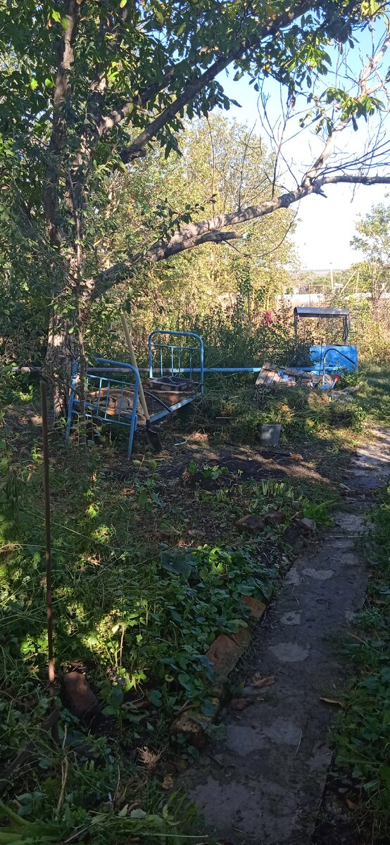 Ручки в перчатки и вперёд) На фотографии не так заметно, но вживую стало здорово, просторно. За деревом такая же площадка расчищена, ох сколько пауков там в траве пряталось. Те, что меня пугали, только маленькие. Траву пока подергала, так они все на стену дома переползли. Брр.. На улице не могу их убивать, здесь уже их жилище. Но траву нельзя так запускать - это учту.