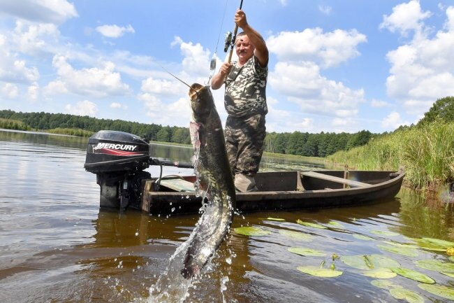 любительская рыбалка") режим водоема. Судя по тому, что я видел в Нижегородской области, условия у нас не совсем для рыбалки. Но это не повод оставить заявку на рыбалку. И не повод для отказа.   Нельзя забывать, что самая распространенная рыба в России – это щука. Поэтому все найденные мной водоемы представляют ценность как раз для ловли этой хищной рыбы. Я не буду останавливаться на общих сведениях о рыбах, обитающих в водоеме, а остановлюсь только на конкретных местах. Итак, щука, которая водится в наших водоемах, достаточно разнообразна, и есть среди них интересные экземпляры. 
 В первую очередь, речь пойдет о реке Волга. Здесь с учетом дальнейшего течения реки могут встречаться экземпляры самых разных размеров. Но чаще всего, конечно, встретить крупных щук. Именно в Волге мне удалось увидеть щучьи трофеи, среди которых попадались экземпляры длиной до 50 сантиметров и весом до 3 килограммов. 
 Рыбалка на щуку интересна тем, что она не очень привередлива к приманкам. Если в каком-то водоеме есть хищники, то рыболов всегда сможет найти "его" приманку. Но сегодня я хочу остановиться на описании тех приманок, которые чаще всего используются для ловли щуки. В этом случае, в отличие от ловли хищника на другие приманки, рыболовы могут рассчитывать на хороший улов. 
 По большому счету, в Подмосковных водоемах щука не такая серьезная, как, например, в Нижегородской или Ростовской областях. Здесь в основном попадаются несколько экземпляров примерно по килограмму и более. Рыболовы, которые регулярно ездят на рыбалку в Подмосковье, конечно же, знают, что самые крупные особи попадаются там, где щука наиболее активна. 
 Июль 2013 года для меня прошел в несколько суматошном режиме. Я ездил на рыбалку с друзьями, поэтому много времени было потрачено на поиски подходящих вариантов. Выбор остановился на точке, которая расположена в сорока километрах от Москвы в районе поселка Западная Долина и Троице-Лыково. 
 Приехав на место, мы нашли заброшенный песчаный карьер. Вырыли несколько ям глубиной от полутора до двух метров, и в течение двух суток оборудовали их всем необходимым. Основное место в этом процессе занимали кузнечики, которые были применены для скашивания травы. 
 Как уже говорилось ранее, многие интересующиеся рыбалкой люди, как правило, выезжают на водоемы на выходные дни. 