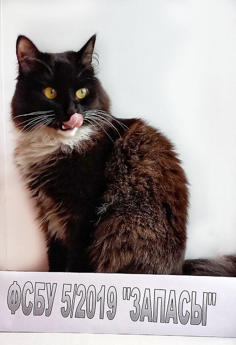 ФСБУ 5/2019 (ПБУ 5/01) IFRS 13