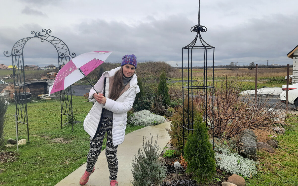 вчера, конец октября