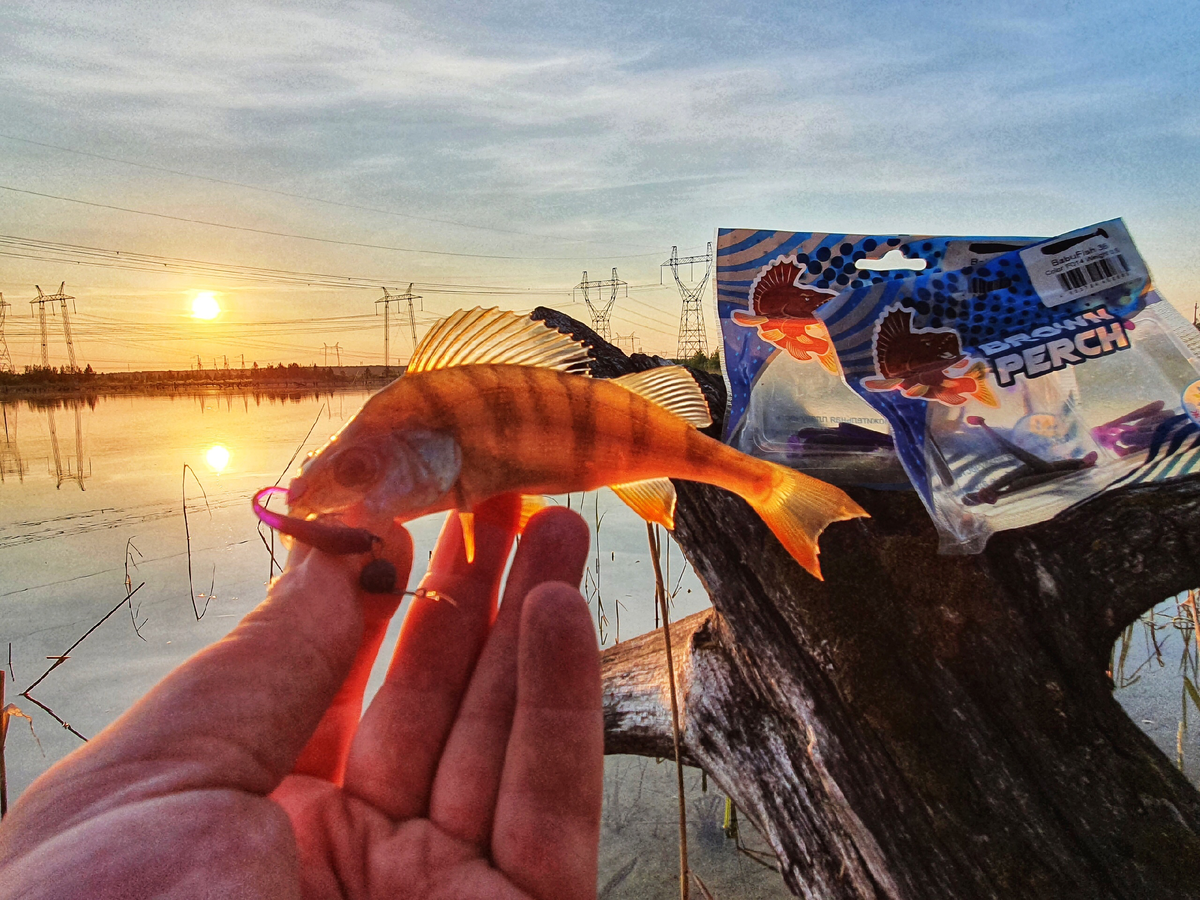 Рыбалка Brown PERCH