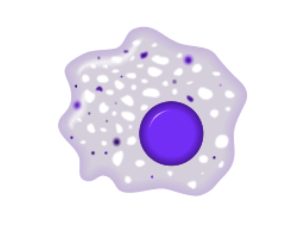 Клетка макрофаг. CC BY-SA 3.0, https://commons.wikimedia.org/w/index.php?curid=1249860