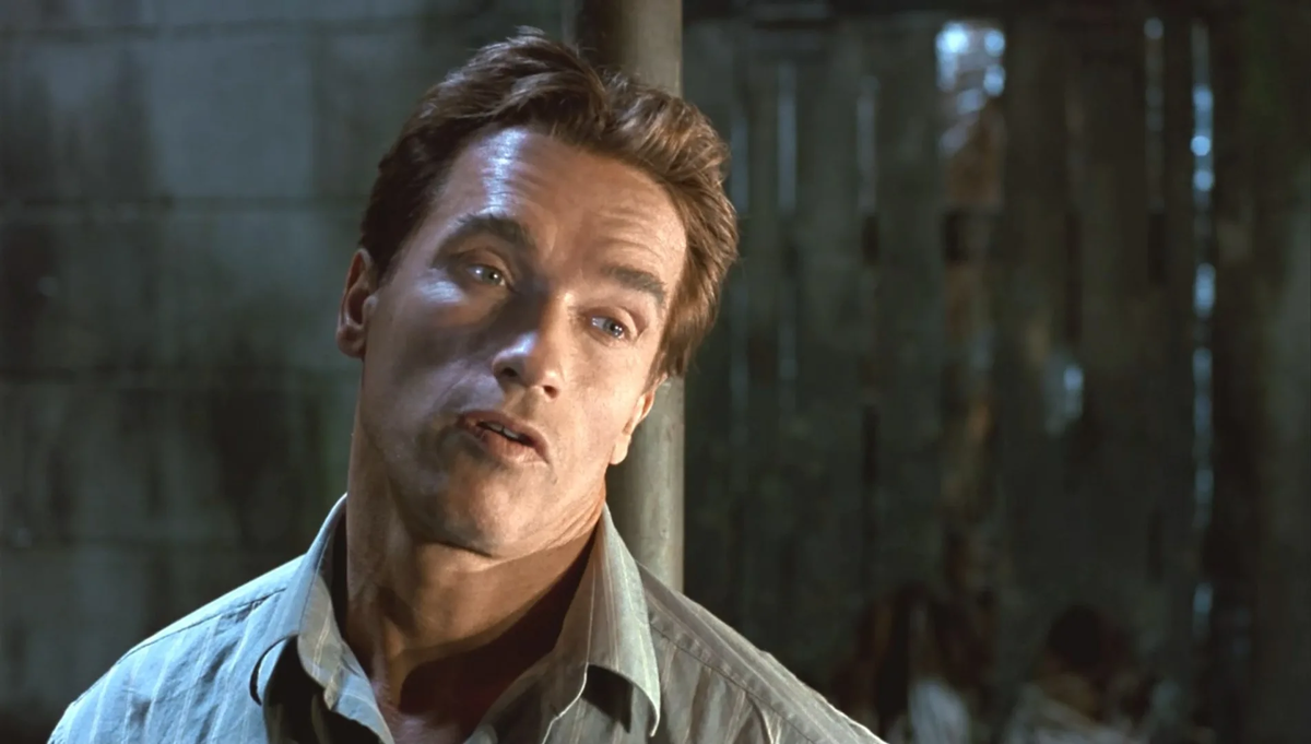 фото взято из открытых источников.