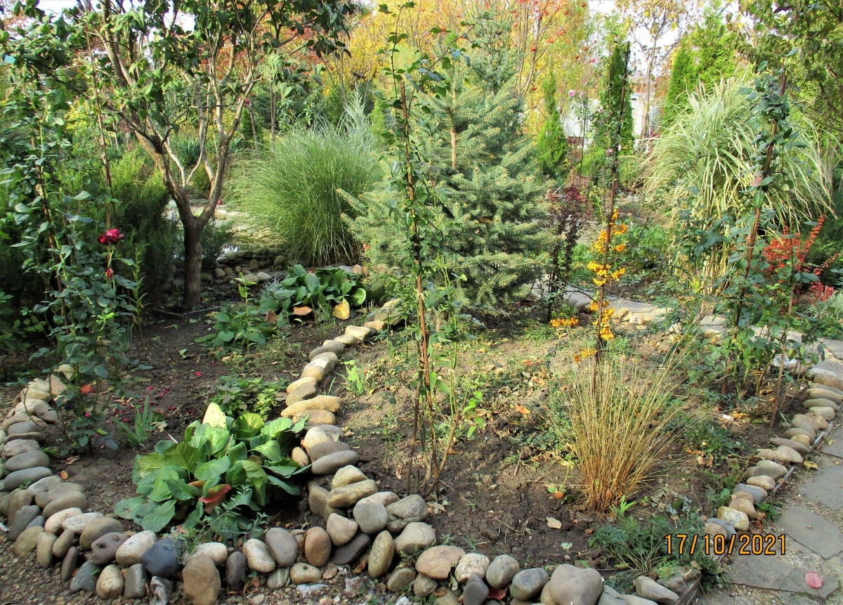 Так эта клумба выглядит сейчас.