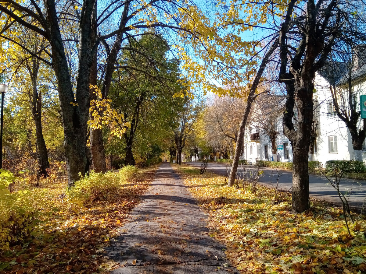 Северо-Запад ЛО