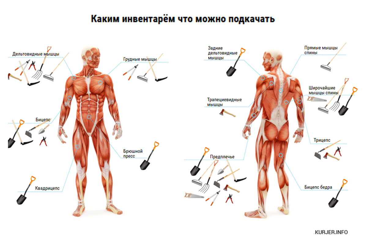 Худеем к Новому году: качаем мышцы с пользой для хозяйства | Новгородский  строитель | Дзен