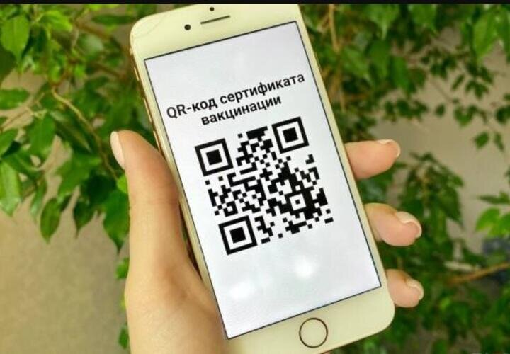 #qr-код #законопроект #транспорт #общественные места 