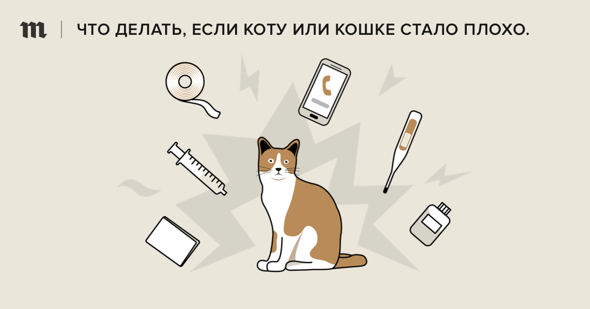 Крайне необходимо если некому оказать помощь