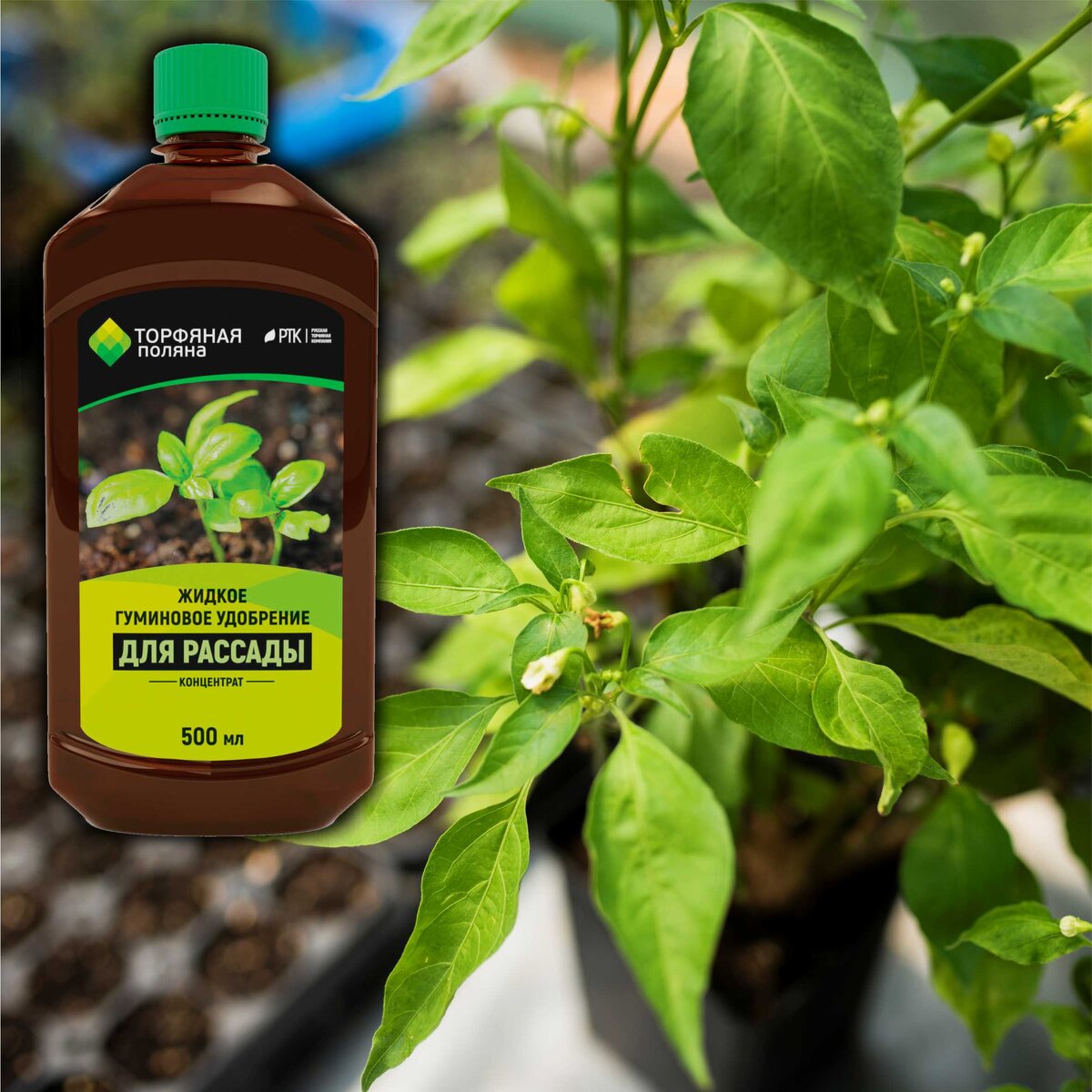Все мы мечтатели. Все. Безоговорочно и бесповоротно.
А о чём мечтают мечтатели? О голубом небе, зелёной траве и плодородной земле.
Чтобы так выйти, на крыльцо, вдохнуть свежего утреннего воздуха и порадоваться. Порадоваться тому, что всё у нас растёт, тому, что небо голубое и трава зелёная
Ну с небом и травой тут всё и без нас ясно 😊 А вот с плодородием ясно, но не всегда и не у всех. Ведь всё начинается с рассады, то есть уже скоро начнётся.
И тут нам всем хотелось бы, чтобы всё было на пять с плюсом. А как же так сделать? Чтобы рассада красивая, пышная и высокая?
Оказывается просто. Специально для этого Русская Торфяная Компания разработала и выпускает Жидкое Гуминовое удобрение.
А делается так: берёте стакан. Гранёный. Нет, не всё у нас начинается со стакана, но тут случай особый.
Наливаем в него 1-2 столовых ложки Жидкого Гуминового удобрения для рассады, доливаете воды комнатной температуры. Замачиваете семена на 10-12 часов. Можно почти любые. Капуста, перец, томаты, баклажаны, бахчевые культуры, огурец, кабачок. После чего высеваете семена в соответствующие ёмкости. И поливаете, только раствор в других пропорциях. 1-3 столовые ложки на 5 литров воды.
При черенковании цветов замачиваем черенки на 3-4 часа в растворе 1-2 столовые ложки на стакан воды.
Вроде бы всё.
Не верите в чудеса? Попробуйте! Всё получится! И мечта осуществится, со значительно меньшими трудозатратами.
Успехов!

#ЖГУ #РТК #жидкоегуминовоеудобрениедлярассады #рассада #удобрения
